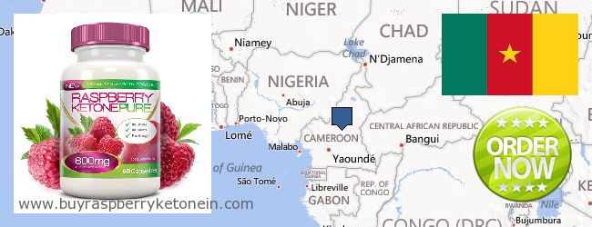 Dónde comprar Raspberry Ketone en linea Cameroon